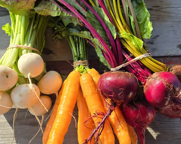 Légumes incomparables de la ferme diversifiée à Saint-Pierre-de-Lamy