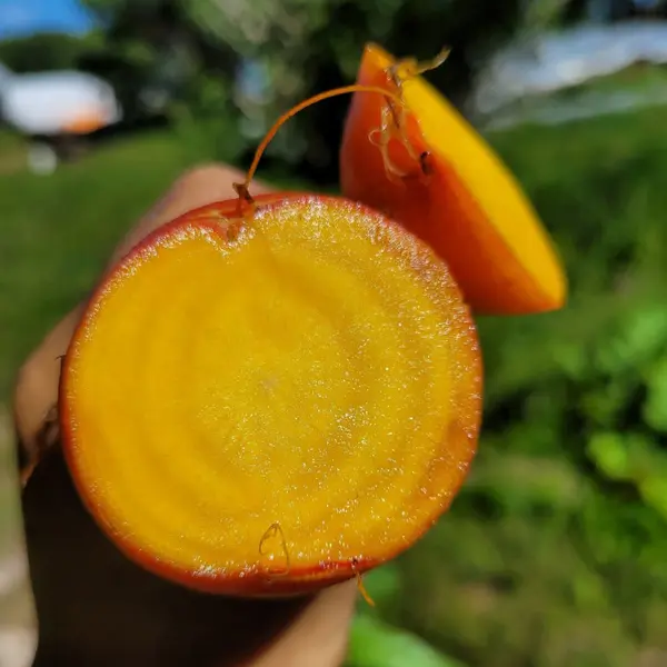 Si c'pas ça la vie, des bons légumes!